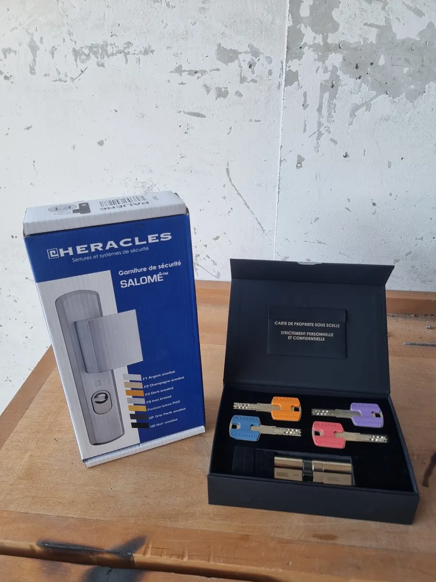 Pack sécurité Héraclès A2P poignée blindée Salomé cylindre Platinium installé Nice