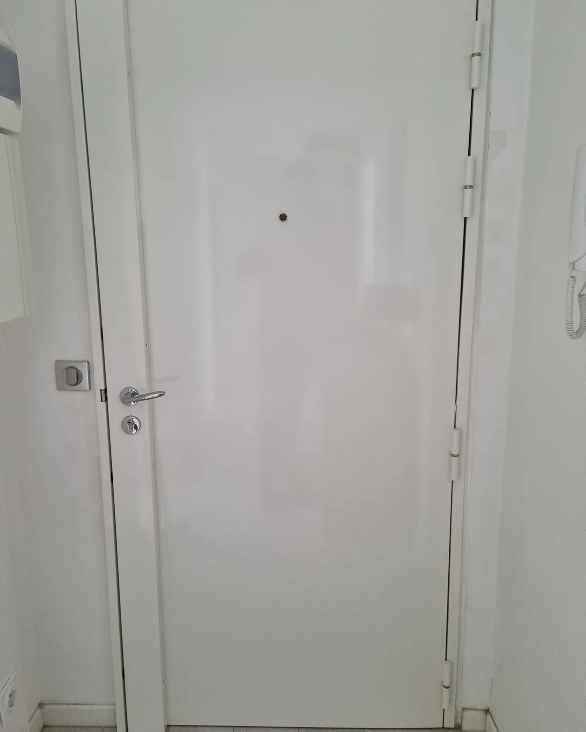 Blindage de porte pivot posé par Arti.AI à Nice